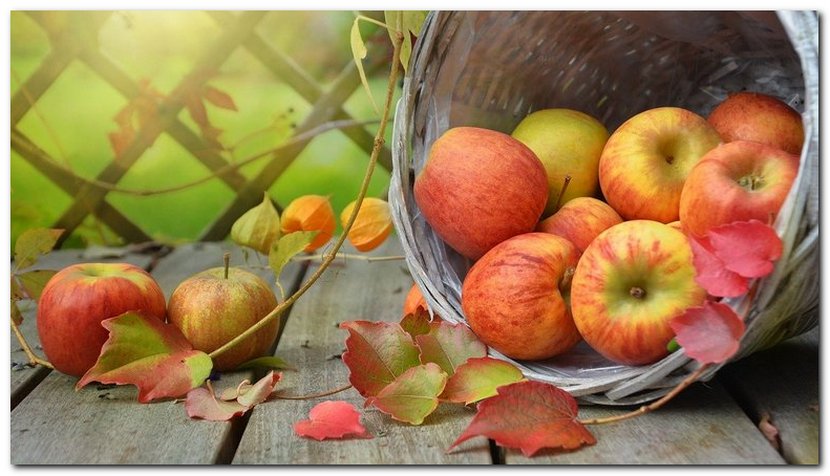 Жюри Мирозная подвело итоги творческого конкурса детей и педагогов ...